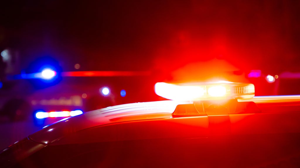 Driver killed in head-on collision with semi in central Minnesota — Prior Lake Sports news