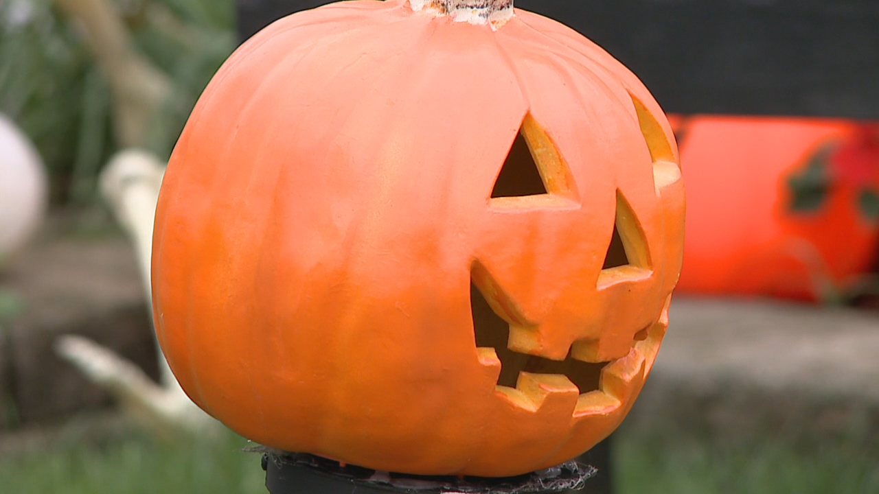 Things to do in Minnesota: 5 things to do this weekend (Oct. 30–Nov. 1) — Prior Lake Community news